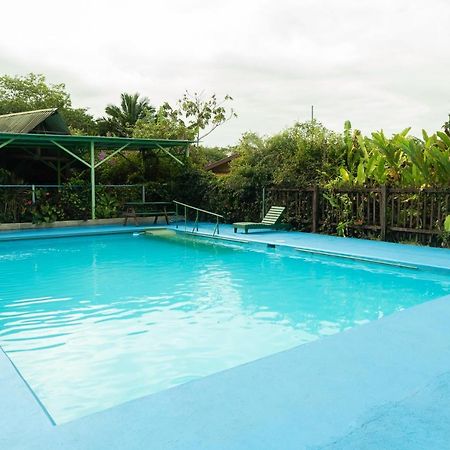 Cabanas El Bosque Turrialba Eksteriør bilde
