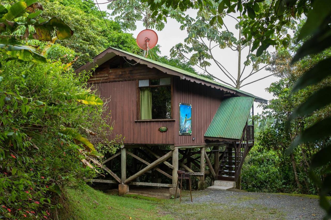 Cabanas El Bosque Turrialba Eksteriør bilde