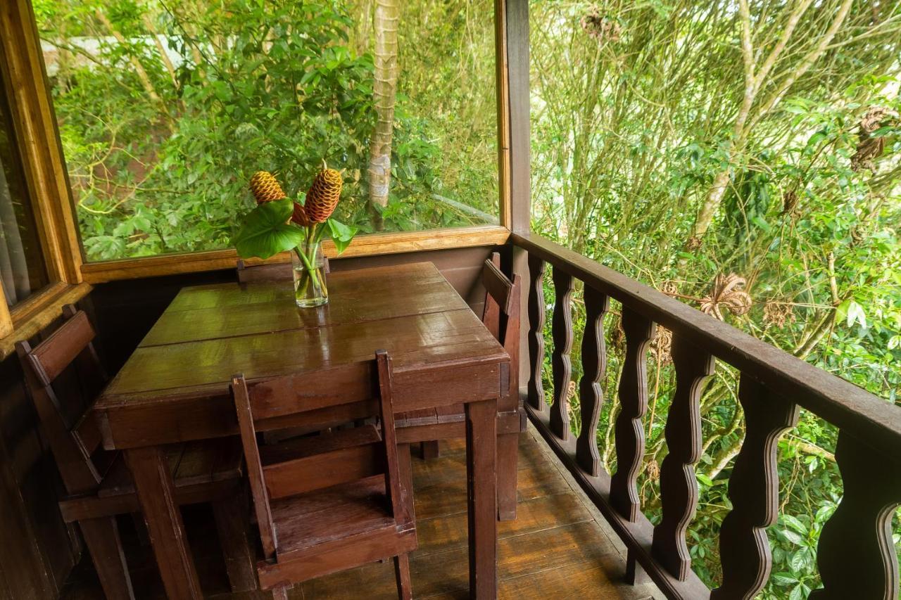 Cabanas El Bosque Turrialba Eksteriør bilde