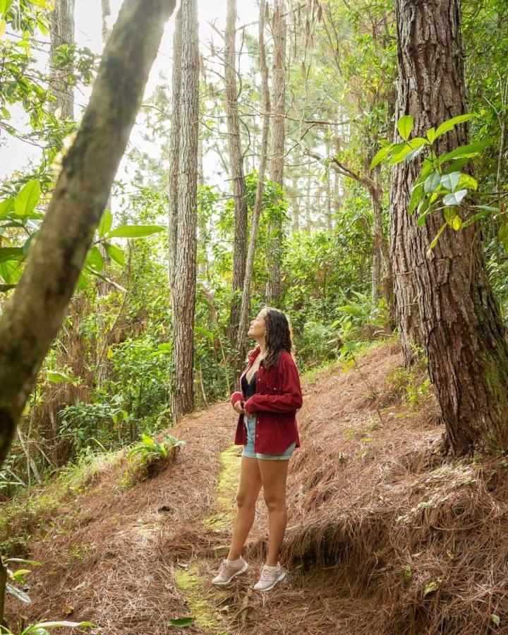 Cabanas El Bosque Turrialba Eksteriør bilde