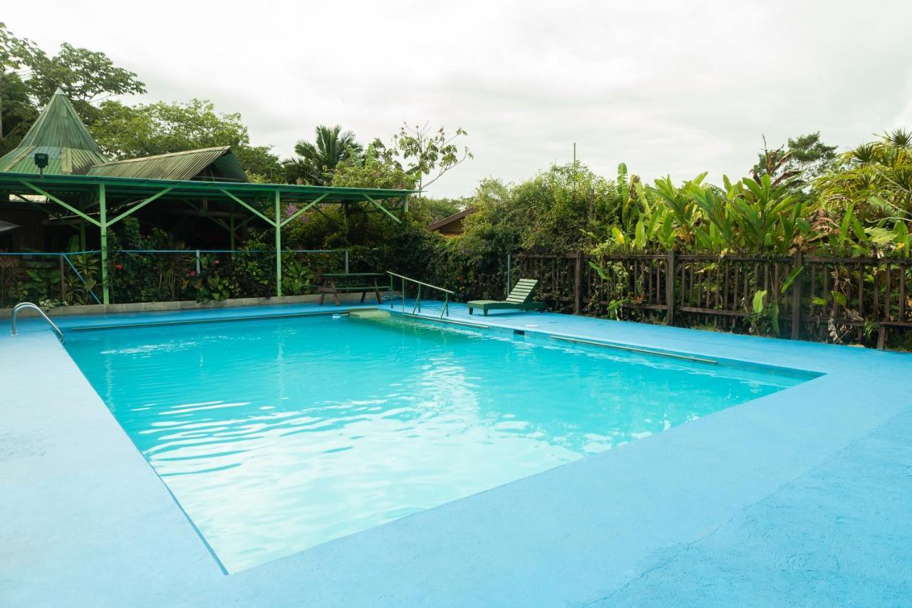Cabanas El Bosque Turrialba Eksteriør bilde