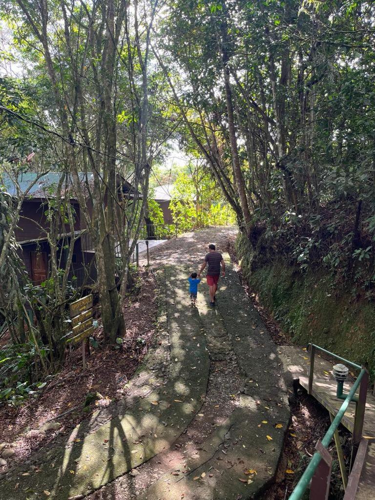 Cabanas El Bosque Turrialba Eksteriør bilde